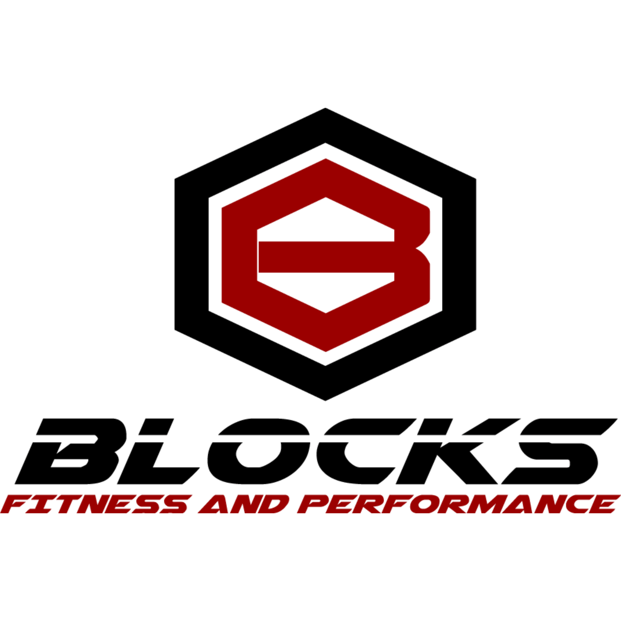 Blocks Fitness and Performance